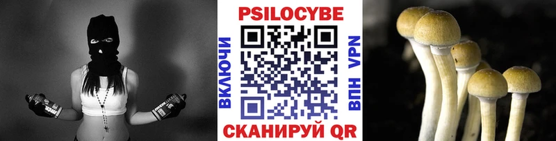 где купить наркоту  MEGA   Псилоцибиновые грибы Magic Shrooms  Барнаул 